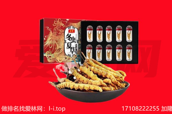 沧州市新华回收虫草.jpg